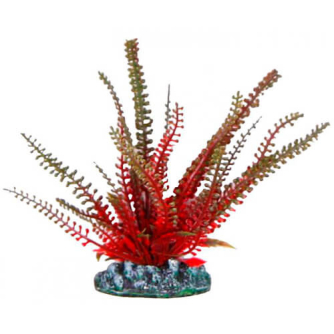 Детальніше про Aquatic Plants акваріумна рослина, 13 см × 10 шт/уп Aquatic Plants акваріумна рослина, 13 см × 10 шт/уп