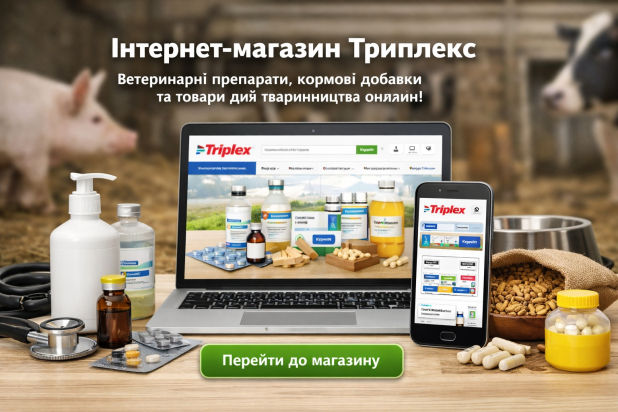 Про інтернет магазин